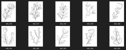 coloring pages plants